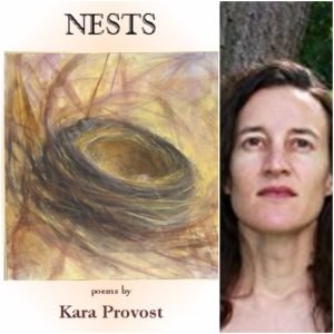Nests by Kara Provost