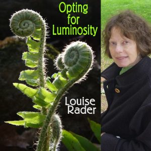 Opting for Luminosity by Louise Rader