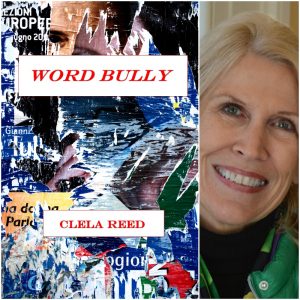 Word Bully by Clela Reed