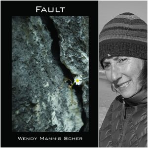 Fault by Wendy Mannis Scher