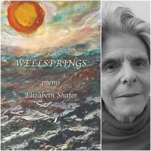 WELLSPRINGS by Elizabeth Shafer
