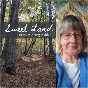 Sweet Land by Sherry Siddall