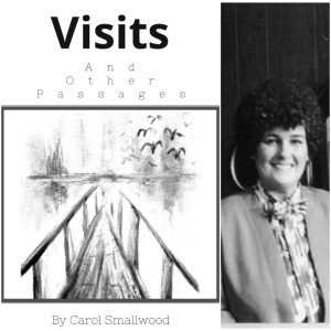 Visits and Other Passages by Carol Smallwood