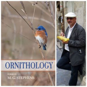 ORNITHOLOGY by M. G. Stephens