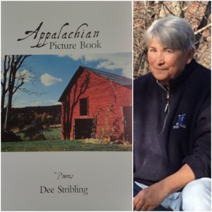 Appalachian Picture Book by Dee Stribling