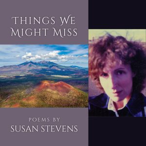 Things We Might Miss by Susan Stevens