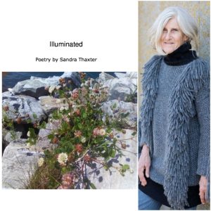 Illuminated by Sandra Thaxter