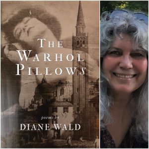 The Warhol Pillows by Diane Wald