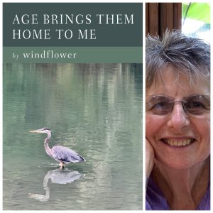 AGE BRINGS THEM HOME TO ME by windflower