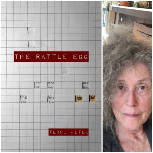 The Rattle Egg by Terri Witek