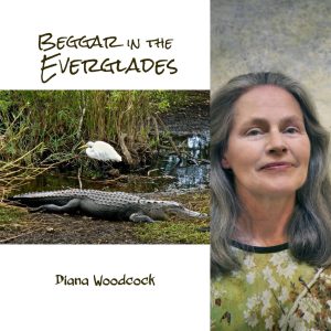 Beggar in the Everglades by Diana Woodcock