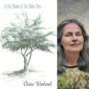 In the Shade of the Sidra Tree by Diana Woodcock
