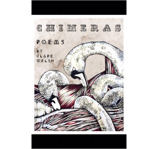 Chimeras by Clare Welsh