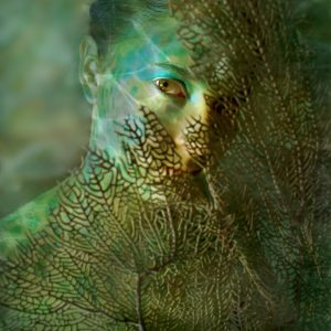 A Sea Change by Lisa Fleck Dondiego