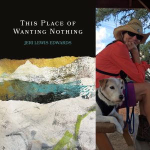 This Place of Wanting Nothing by Jeri Lewis Edwards