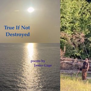 True If Not Destroyed by James Gage