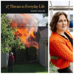 27 Threats to Everyday Life by Anne Holub