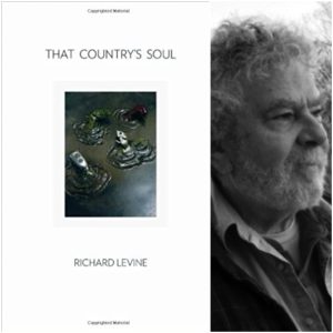 That Country's Soul by Richard Levine