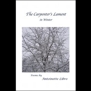 The Carpenter's Lament in Winter by Antointte Libro
