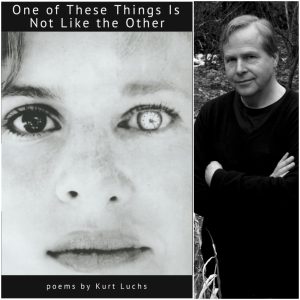 One of These Things Is Not Like the Other by Kurt Luchs