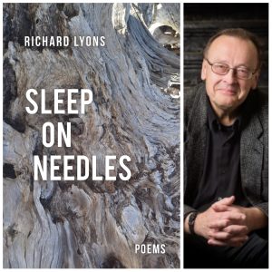 Sleep on Needles by Richard Lyons