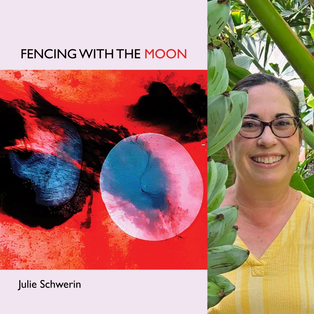 Fencing With The Moon By Julie Schwerin FINISHING LINE PRESS