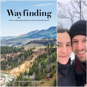 Wayfinding edited by Amy Beth Wright and Derek Wright