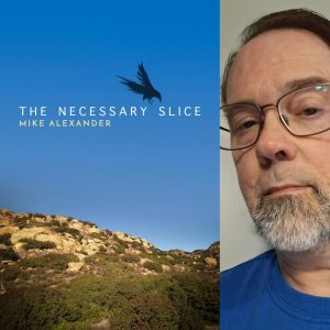 The Necessary Slice by Mike Alexander