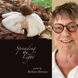 Spreading the Light by Barbara Sherman