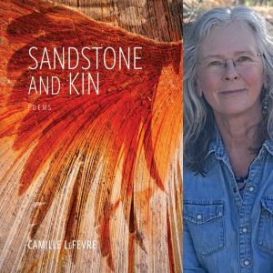 Sandstone and Kin by Camille LeFevre