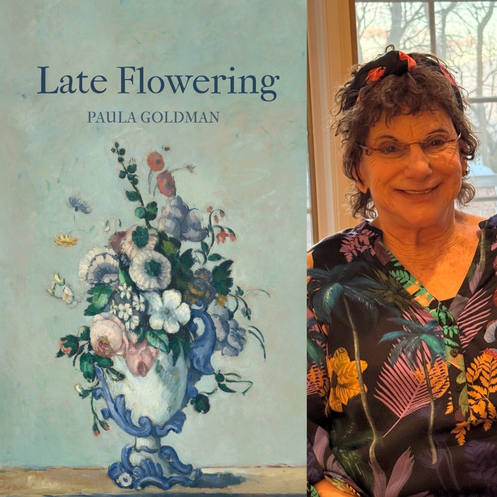Late Flowering by Paula Goldman