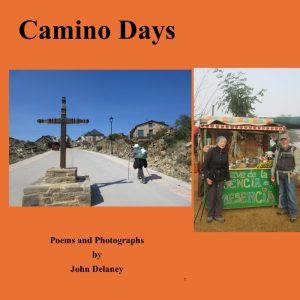 Camino Days by John Delaney