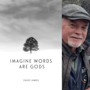 Imagine Words are Gods by David James