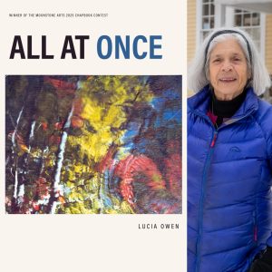 All At Once by Lucia Owen
