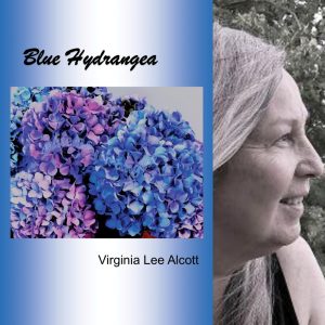 Blue Hydrangea by Virginia Lee Alcott