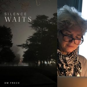 SILENCE WAITS by DM Frech