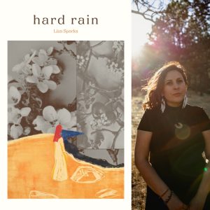 hard rain by Liza Sparks