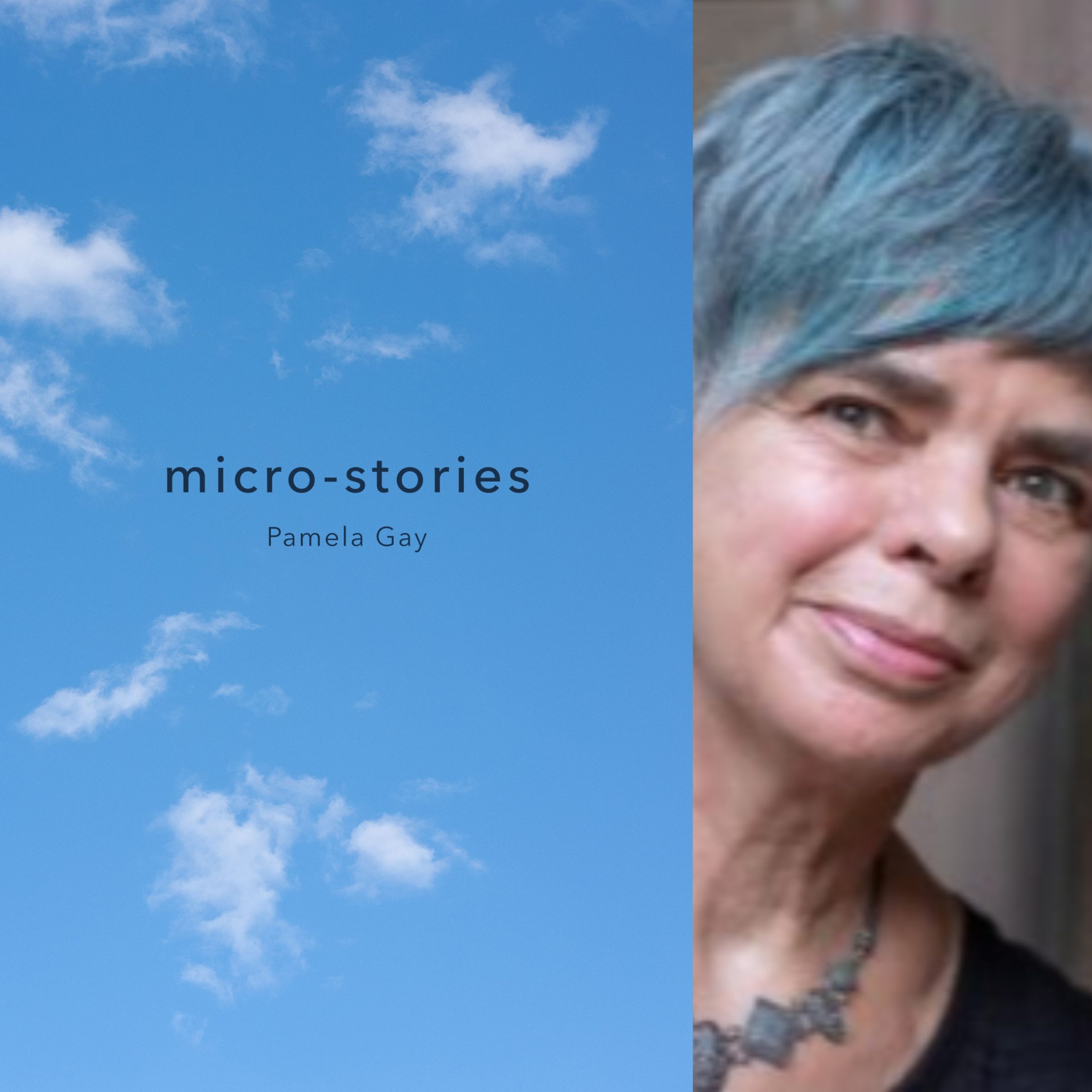 MICRO-STORIES by Pamela Gay