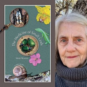 The Medicine of Small Gods by Mobi Warren